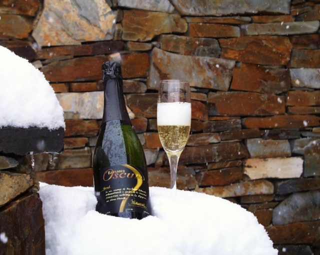 Muestra de sus vinos